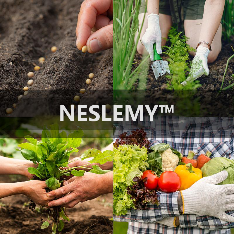 Vollständige Erbstück-Gemüsesamen-Tresor – Ideal für Hausgärten & Notfallvorbereitung