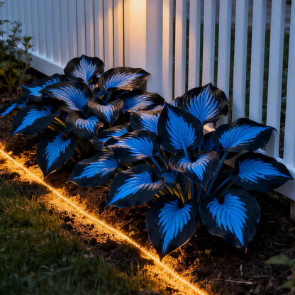🔥Premium seltene Hosta-Samen🌿Schattenverträgliche Pflanze