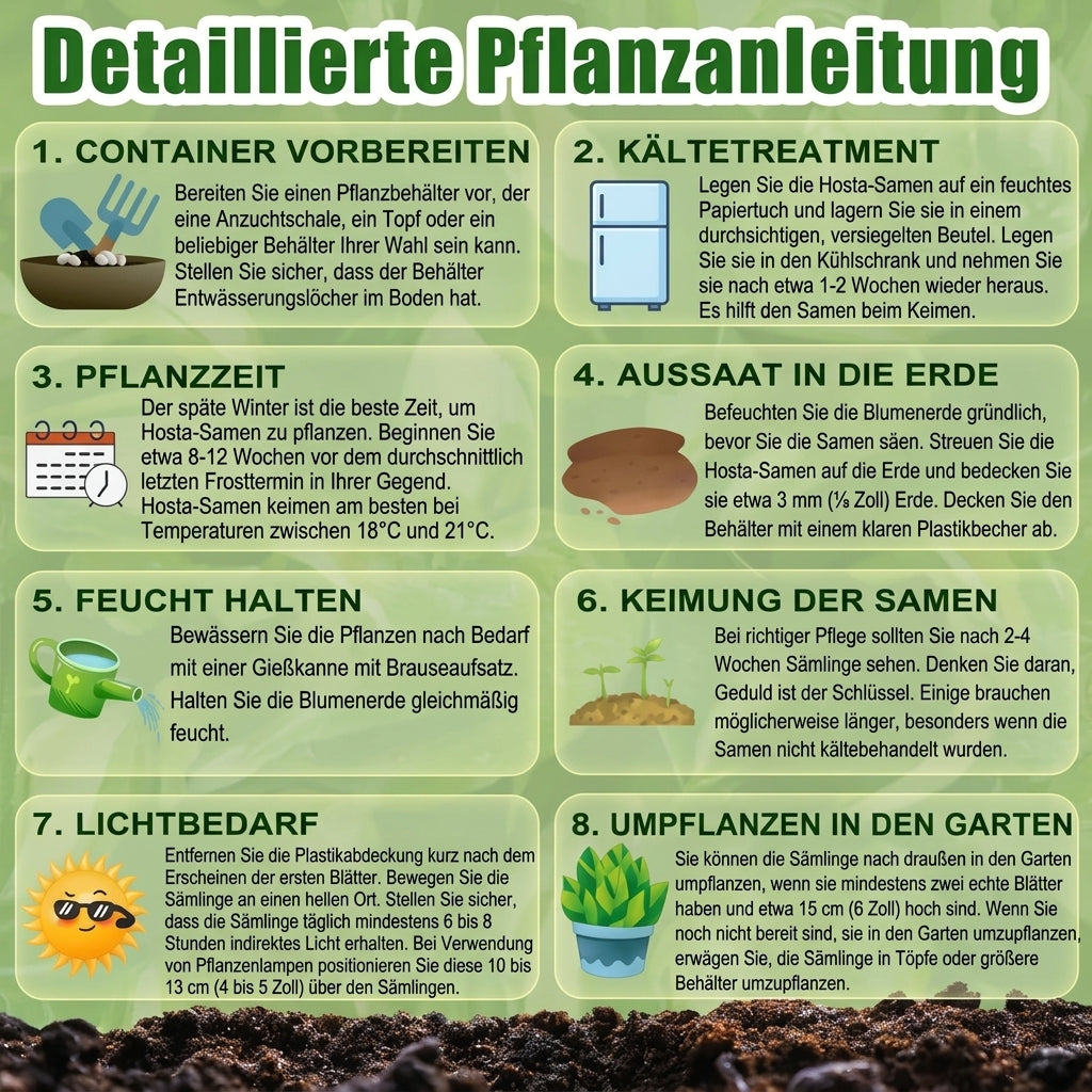🔥Premium seltene Hosta-Samen🌿Schattenverträgliche Pflanze
